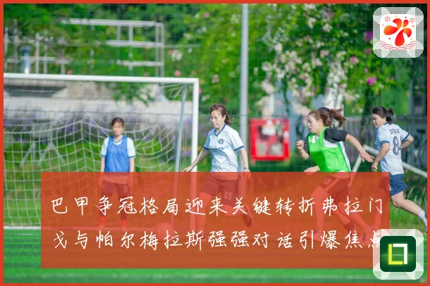 巴甲争冠格局迎来关键转折弗拉门戈与帕尔梅拉斯强强对话引爆焦点之战